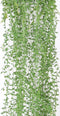 Emerald - Senecio hangplant - 70 cm - groen