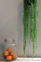Emerald - Senecio hangplant - 70 cm - groen