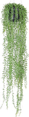 Emerald - Senecio hangplant - 70 cm - groen