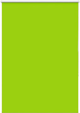 vidaXL - Rolgordijn - verduisterend - 105x130 - cm - stofbreedte - 100,7 - cm