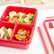 EMSA CLIP & MICRO 1l Rechthoekig Set Rood
