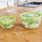 EMSA N10713 Rond Doos 2,6 l Groen, Transparant 3 stuk(s)