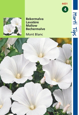 2 stuks - Hortitops - Lavatera Trimestris Mont Blanc