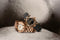 Horloge Dames Guess X35016L2S (34 mm)