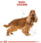 Royal Canin Cocker Adult - Hondenvoer - 12 kg