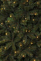 Triumph Tree kunstkerstboom led forest frosted maat in cm: 185 x 130 donkergroen 224 led - DONKERGROEN