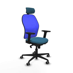 Piqueras y Crespo 2D036G2 - Bureaustoel - Verstelbare hoogte en hoofdsteun - Blauw Groene benzine