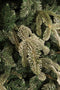 Black Box Trees Frosted Stelton Kunstkerstboom - H185 cm - Groen