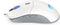 ENDORFY GEM Plus Onyx White muis Rechtshandig USB Type-C Optisch 19000 DPI