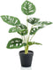 Emerald - Kunstplant in pot Monstera Monkey 43cm - Kunstplanten voor binnen