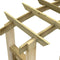 vidaXL - Tuinboog - 110x60x210 - cm - geïmpregneerd - massief - grenenhout