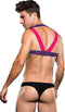 Envy Logo Harness Blue Pink, L/XL