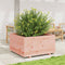 vidaXL - Plantenbak - 90x90x49,5 - cm - massief - douglashout
