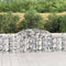 vidaXL - Schanskorven - 12 - st - gewelfd - 300x30x80/100 - cm - ijzer
