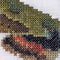 Thea Gouverneur - Borduurpakket met telpatroon - 565 - Voorgesorteerde DMC Garens - Wolfsmelkpijlstaart Vlinder - Linnen - 21 cm x 21 cm - DIY Kit