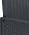 vidaXL - Tuinmeubels - met - Kussens - 2 - stuks - Anthraciet - Poly - Rattan