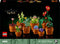LEGO Icons Miniplantjes - Bouwset voor volwassenen - 9 modelplanten - Terracottakleurig