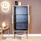 Richmond Interiors Wandkast Ironville 2-deuren (Gold)