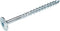 Woodies - Tellerkopschroeven - 6.0x300 mm verzinkt T-30 deeldraad (50 stuks)