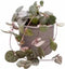 Plantenset “Love of my heart” (in Laos keramiek)
