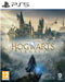 Hogwarts Legacy - PS5 - Avontuur RPG - Open wereld (2023)