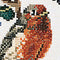 Thea Gouverneur - Borduurpakket met telpatroon - 914A - Voorgesorteerde DMC Garens - Roodborstje - Aida - 25 cm x 30 cm - DIY Kit