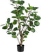 Decoratieve plant 80 x 77 x 113 cm Groen PVC Aralia