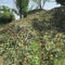 Multifunctioneel Camo Net - 2x3 m - Lichtgewicht en Waterbestendig