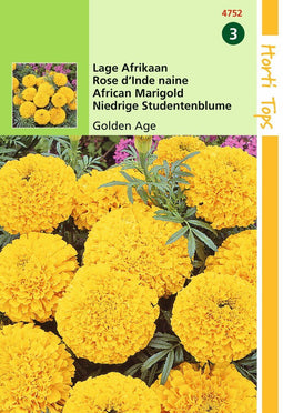 2 stuks - Hortitops - Tagetes Erecta Nana Golden Age