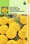 2 stuks - Hortitops - Tagetes Erecta Nana Golden Age