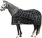 EQUEST Paardendeken - Dralon Globe Editie - 181x177x1 cm - Zwart