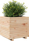 vidaXL - Plantenbak - 50x50x49,5 - cm - massief - grenenhout
