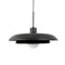 AVA - Hanglamp - Zwart met glazen koepel
