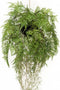 Emerald Kunstvaren hangend met wortels 35 cm