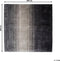 ERCIS - Laagpolig vloerkleed - Grijs/Zwart - 200 x 200 cm - Viscose
