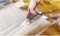 Erdi allesknipper 190 mm CombInox - D50