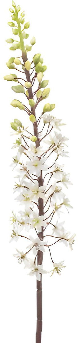 Eremurus spray white/green 95 cm Emerald