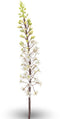 Eremurus spray white/green 95 cm Emerald