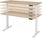Ergonomisch elektrische verstelbaar zit/sta bureau Teez breed 120CM diep bladkleur Speciale Kleur framekleur Zwart (RAL9005)