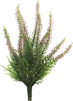 Erica bush new pink x15 24 cmNova Nature