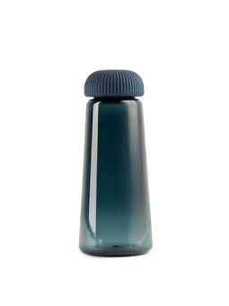 Erie RCS RPET fles 575ML