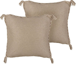 ERIGERON - Sierkussen set van 2 - Beige - 45 x 45 cm - Jute
