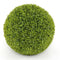 Coast Kunstbuxusballen - Set van 2 - Ø 40 & 50 cm - UV- en Waterbestendig Groen (2 stuks)