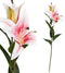 PTMD Lily Lelie Kunstbloem - 40,5 x 25 x 81 cm - Roze