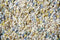 Brink en Campman - Young 61807 Vloerkleed - 250x350 - Rechthoek - Hoogpolig Tapijt - Landelijk - Meerkleurig