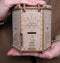 Escapewelt Fort Knox Box