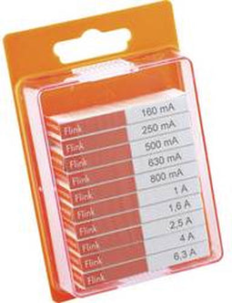 ESKA 12009 Buiszekering assortiment (Ø x l) 5 mm x 20 mm Snel -F- Inhoud: 100 stuk(s)