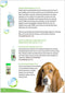 Espree Tea Tree Anti-jeukmiddel Espree - Tea Tree & Aloe Shampoo 355 ml.