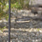 Esschert Design - Best For Birds Voederstation - Groen - 52 x 18 x 201 cm