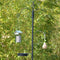 Esschert Design - Best For Birds Voederstation - Groen - 52 x 18 x 201 cm